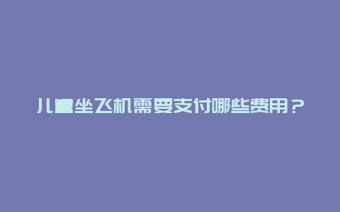 儿童坐飞机需要支付哪些费用？