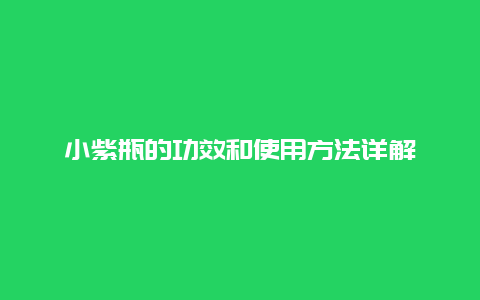 小紫瓶的功效和使用方法详解