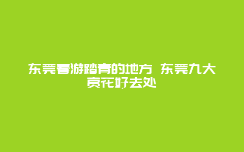 东莞春游踏青的地方 东莞九大赏花好去处