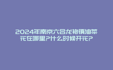 2024年南京六合龙袍镇油菜花在哪里?什么时候开花?