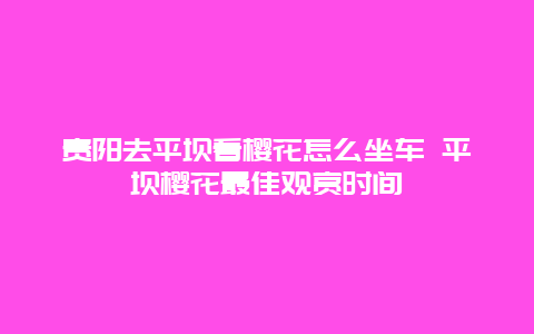 贵阳去平坝看樱花怎么坐车 平坝樱花最佳观赏时间