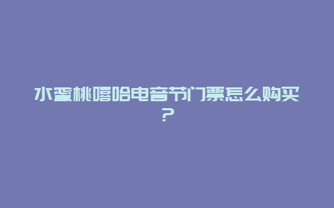 水蜜桃嘻哈电音节门票怎么购买？