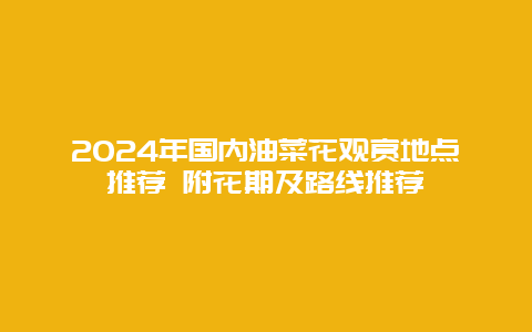 2024年国内油菜花观赏地点推荐 附花期及路线推荐