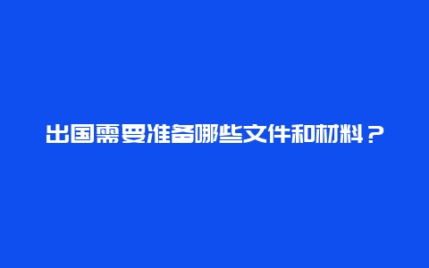 出国需要准备哪些文件和材料？