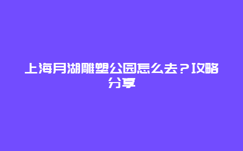 上海月湖雕塑公园怎么去？攻略分享