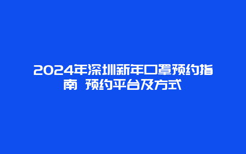 2024年深圳新年口罩预约指南 预约平台及方式