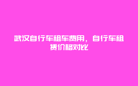 武汉自行车租车费用，自行车租赁价格对比