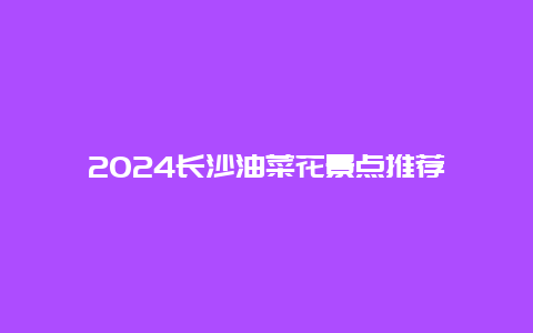 2024长沙油菜花景点推荐