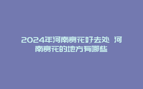 2024年河南赏花好去处 河南赏花的地方有哪些