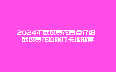 2024年武汉赏花景点介绍 武汉赏花拍照打卡地推荐