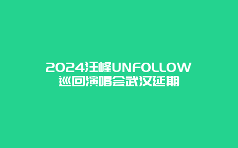 2024汪峰UNFOLLOW巡回演唱会武汉延期