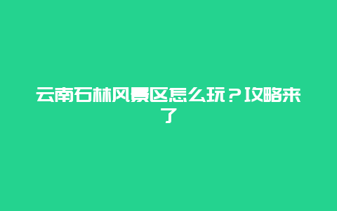 云南石林风景区怎么玩？攻略来了