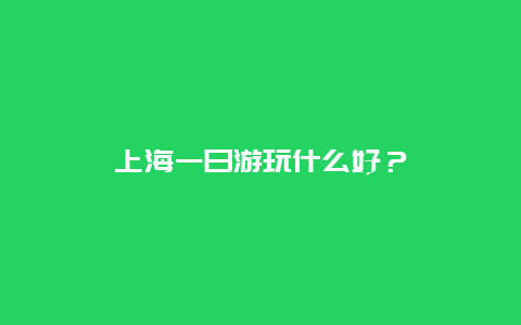 上海一日游玩什么好？