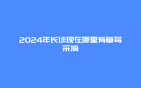 2024年长沙现在哪里有草莓采摘