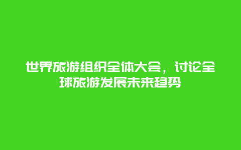 世界旅游组织全体大会，讨论全球旅游发展未来趋势