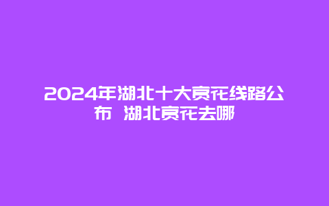 2024年湖北十大赏花线路公布 湖北赏花去哪