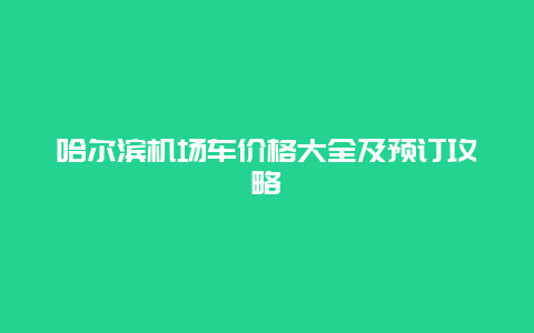 哈尔滨机场车价格大全及预订攻略