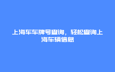 上海车车牌号查询，轻松查询上海车辆信息