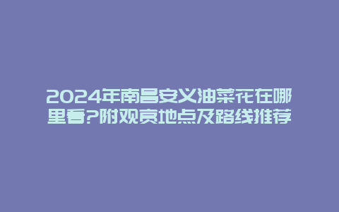 2024年南昌安义油菜花在哪里看?附观赏地点及路线推荐