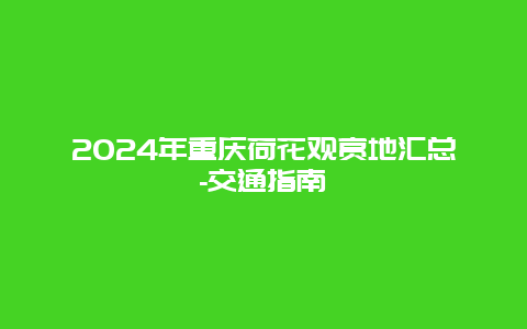 2024年重庆荷花观赏地汇总-交通指南