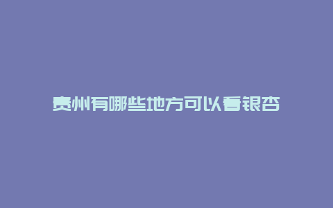 贵州有哪些地方可以看银杏