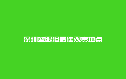 深圳蓝眼泪最佳观赏地点