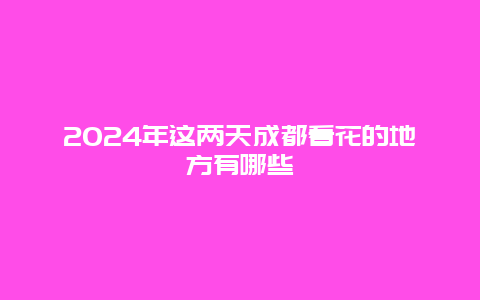 2024年这两天成都看花的地方有哪些