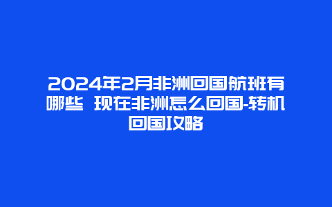 2024年2月非洲回国航班有哪些 现在非洲怎么回国-转机回国攻略