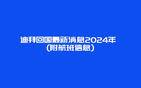 迪拜回国最新消息2024年 (附航班信息)