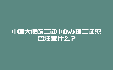 中国大使馆签证中心办理签证需要注意什么？