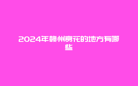 2024年赣州赏花的地方有哪些