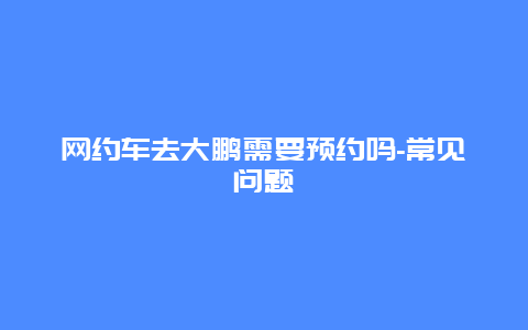 网约车去大鹏需要预约吗-常见问题