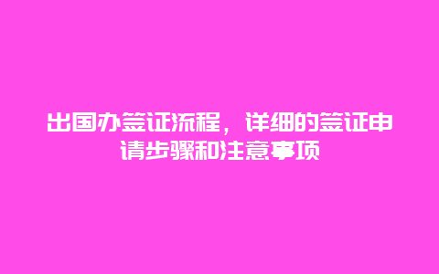 出国办签证流程，详细的签证申请步骤和注意事项