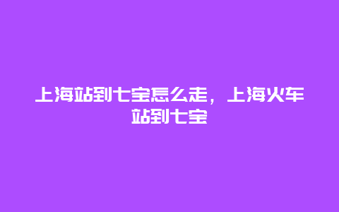 上海站到七宝怎么走，上海火车站到七宝