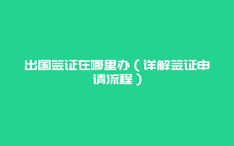 出国签证在哪里办（详解签证申请流程）