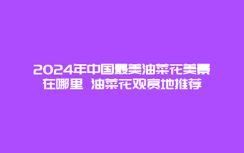 2024年中国最美油菜花美景在哪里 油菜花观赏地推荐