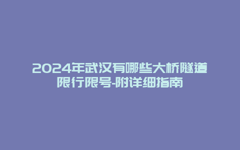 2024年武汉有哪些大桥隧道限行限号-附详细指南