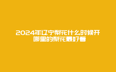 2024年辽宁梨花什么时候开 哪里的梨花最好看