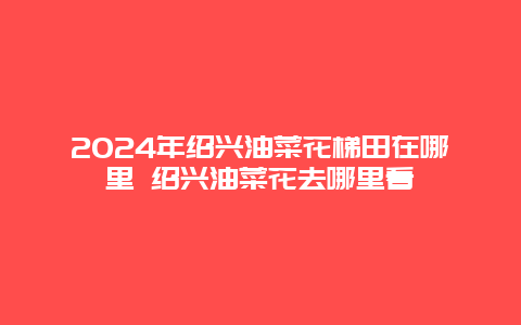 2024年绍兴油菜花梯田在哪里 绍兴油菜花去哪里看