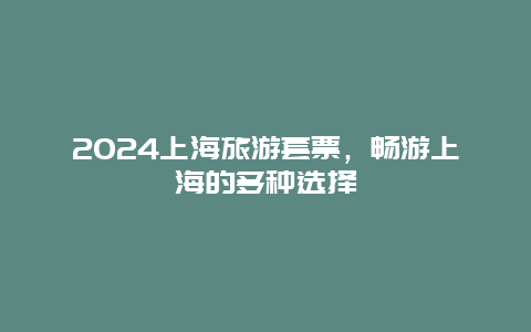 2024上海旅游套票，畅游上海的多种选择