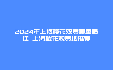 2024年上海樱花观赏哪里最佳 上海樱花观赏地推荐