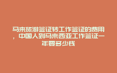 马来旅游签证转工作签证的费用，中国人到马来西亚工作签证一年要多少钱