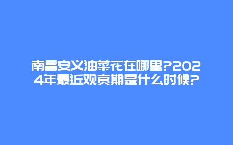 南昌安义油菜花在哪里?2024年最近观赏期是什么时候?