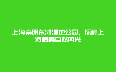 上海崇明东滩湿地公园，探秘上海最美自然风光