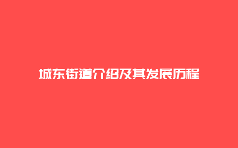 城东街道介绍及其发展历程