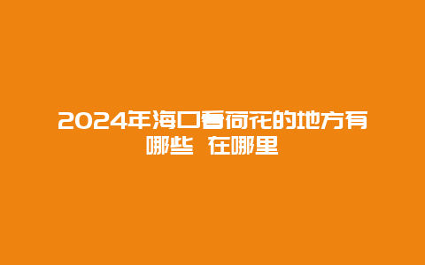 2024年海口看荷花的地方有哪些 在哪里