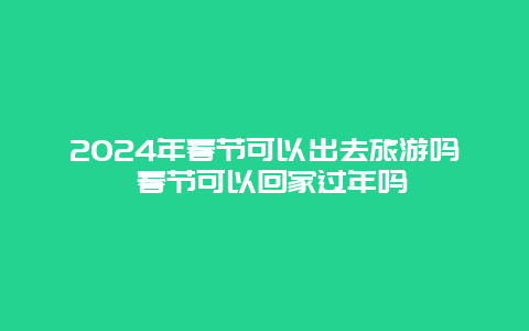 2024年春节可以出去旅游吗 春节可以回家过年吗