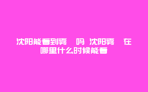 沈阳能看到雾凇吗 沈阳雾凇在哪里什么时候能看