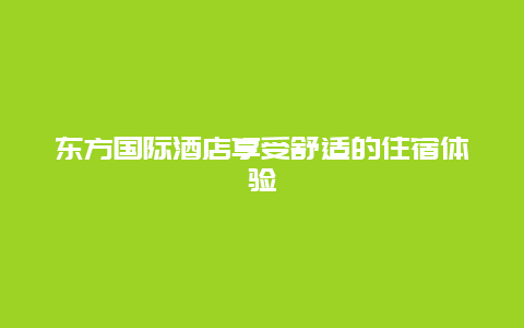 东方国际酒店享受舒适的住宿体验