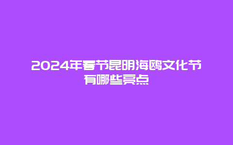 2024年春节昆明海鸥文化节有哪些亮点